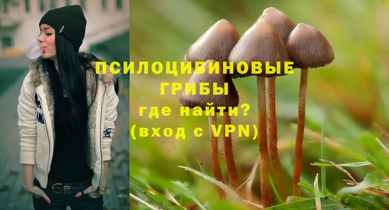 Галлюциногенные грибы Magic Shrooms  как найти закладки  Краснокамск 